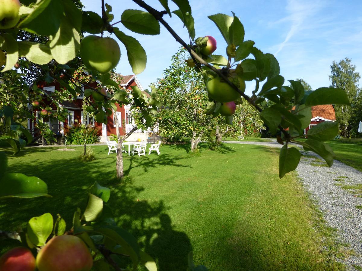 Groena Anaes Bed & Breakfast ostra Loa Luaran gambar