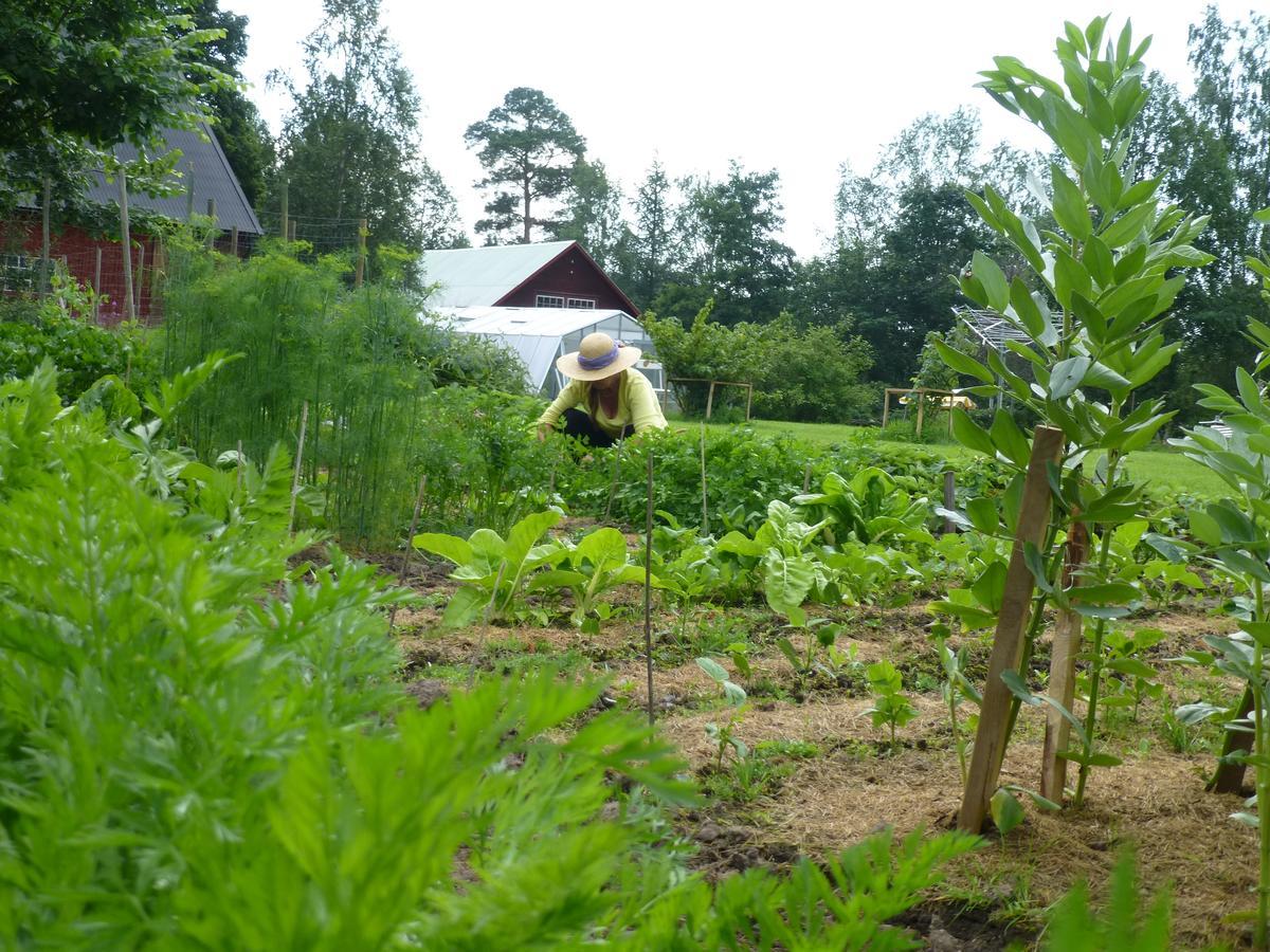 Groena Anaes Bed & Breakfast ostra Loa Luaran gambar