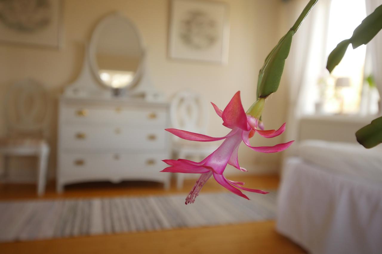 Groena Anaes Bed & Breakfast ostra Loa Luaran gambar