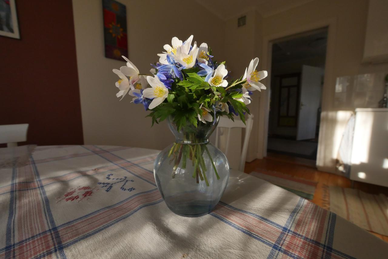 Groena Anaes Bed & Breakfast ostra Loa Luaran gambar